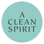 Bintu Singh - A CLEAN SPIRIT