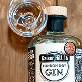 GIN
